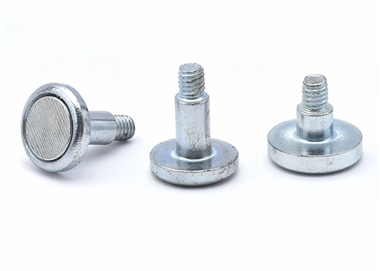 Magnetized Screw