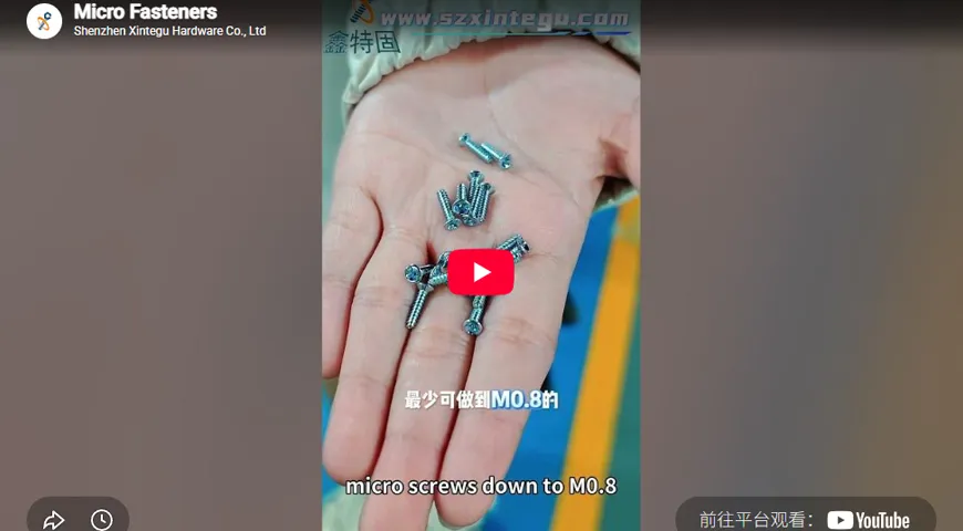 Micro Fasteners