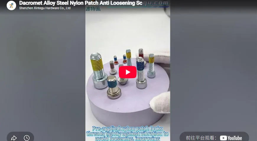 Dacromet Alloy Steel Nylon Patch Anti Loosening Sc