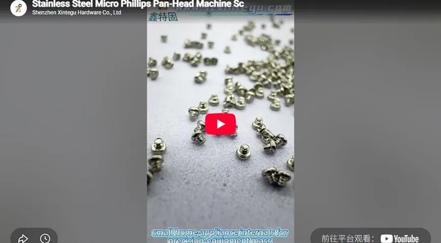 Stainless Steel Micro Phillips Pan‑Head Machine Sc